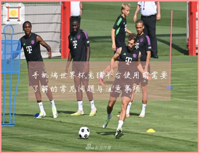 手机端世界杯竞猜平台使用前需要了解的常见问题与注意事项