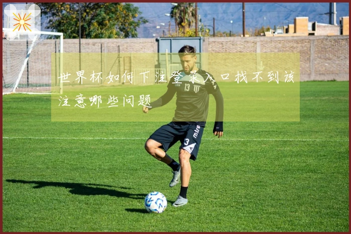 世界杯如何下注登录入口找不到该注意哪些问题