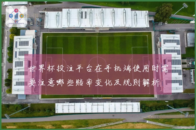世界杯投注平台在手机端使用时需要注意哪些赔率变化及规则解析