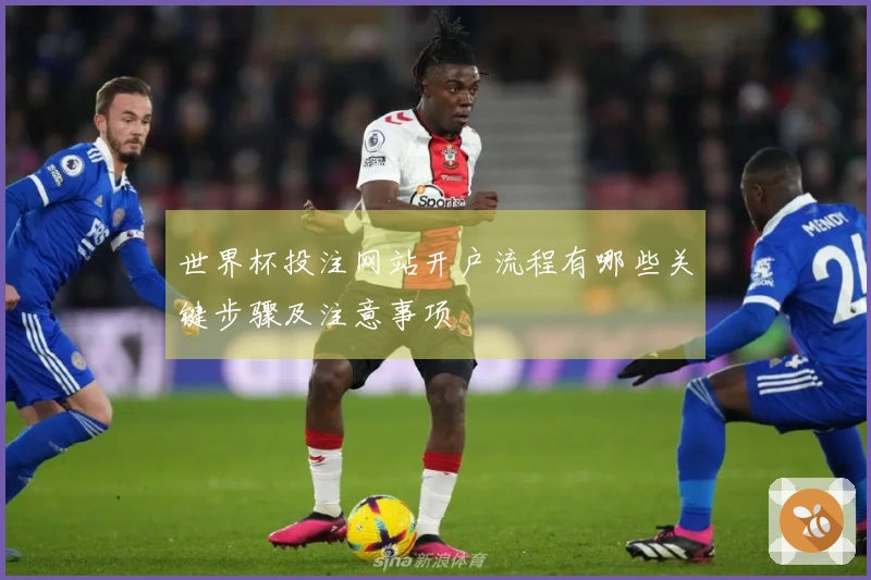 世界杯投注网站开户流程有哪些关键步骤及注意事项