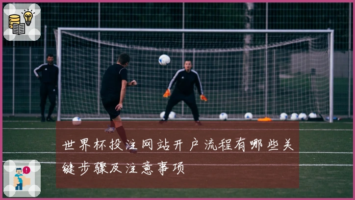 世界杯投注网站开户流程有哪些关键步骤及注意事项