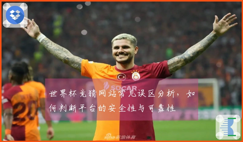 世界杯竞猜网站常见误区分析，如何判断平台的安全性与可靠性